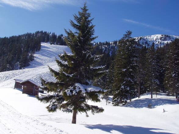 Skitour auf den Wank