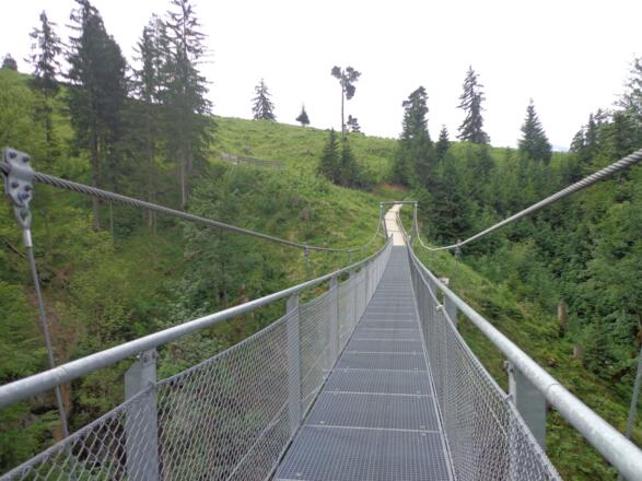 Hängebrücke bei der Tannenhütte