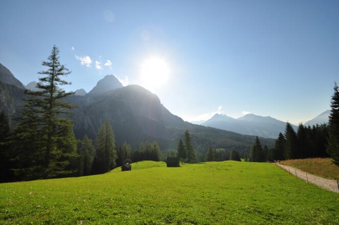 Fast ist es geschafft - Ein Sonnenbad kurz hinter der Ehrwalder Alm
