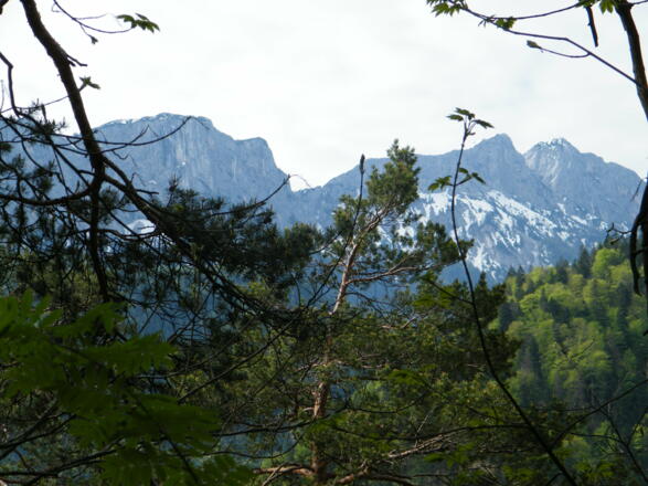 vom Antoniberg Richtung Weißbach