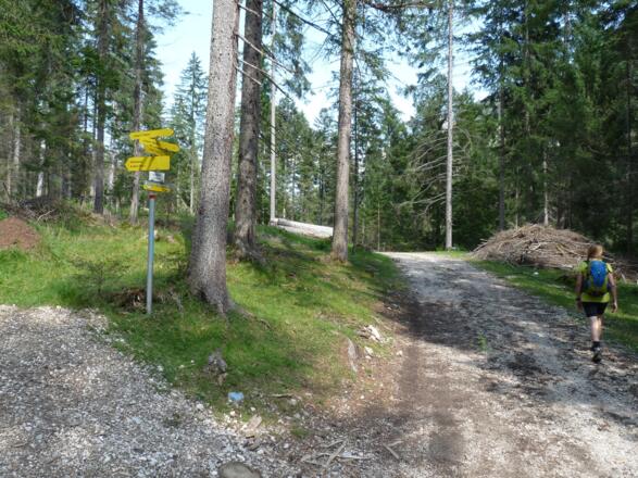Wegtafeln weisen an den neuralgischen Punkten den Rückweg.