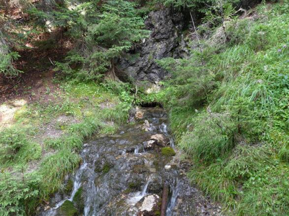 Beim &quot;Ursprung&quot; - eine stark sprudelnde Quelle.