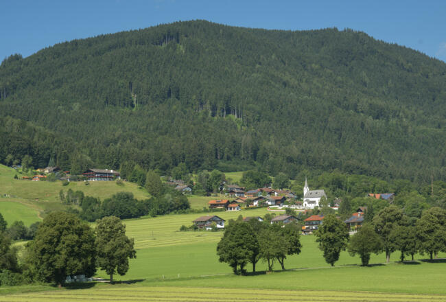 Roha-Fotothek Fürmann - Blick auf Aufham