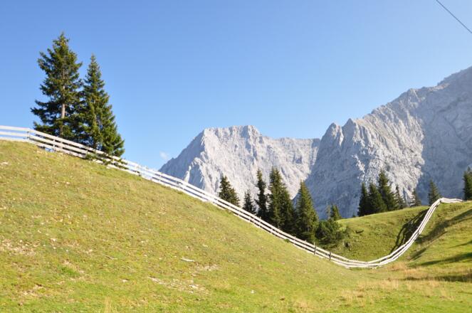 Auf dem Abstieg zur Feldernalm: künstliches und natürliches in geschwungenen Formen