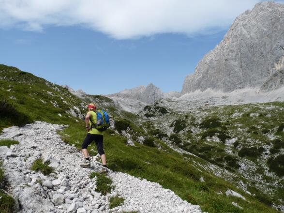 Noch dominieren die grünen Bergwiesen. Im Hintergrund der Bayerländerturm.