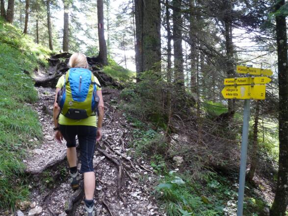 Nach der Quelle folgt ein kurzer Aufstieg ...