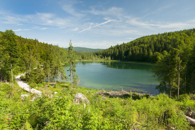 Roha-Fotothek Fürmann - Frillensee im Sommer