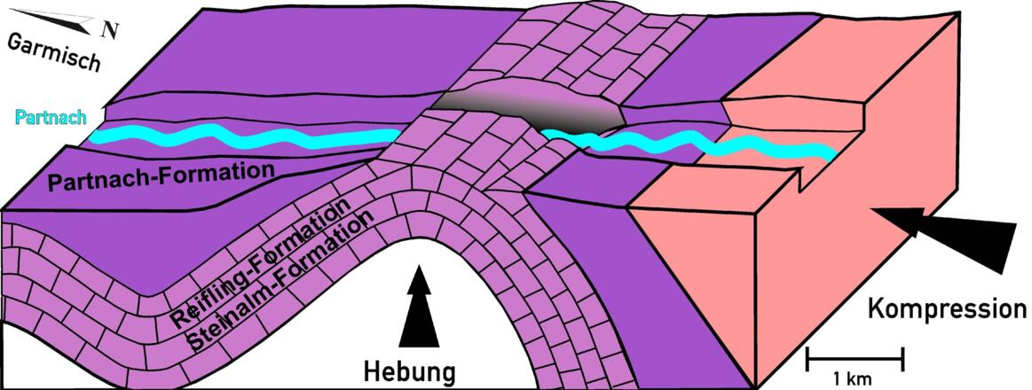 Im Verlauf der alpinen Gebirgsbildung wurden die Gesteine gefaltet und im Bereich der Partnachklamm herausgehoben.