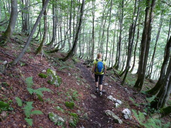 ... um dann ca. 60 Höhenmeter abzusteigen.