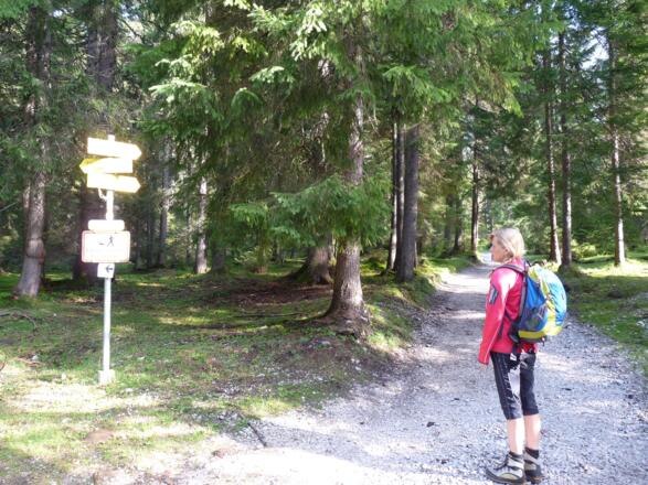 Wegtafeln weisen ins Bergleintal.