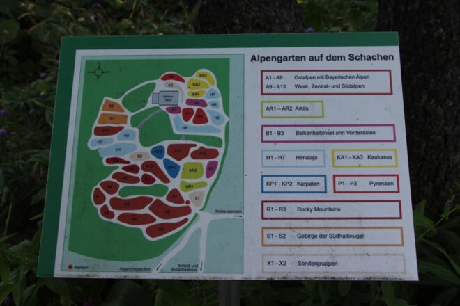 Alpengarten auf dem Schachen