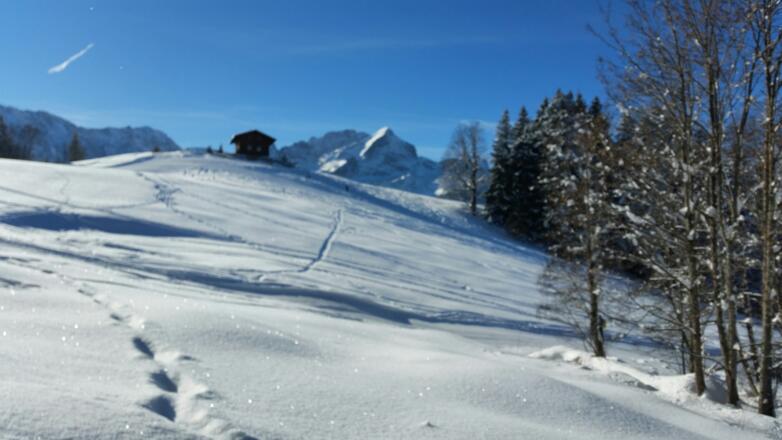Winterwiesen am Eckbauer