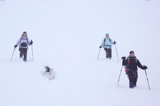 Im Abstieg kurz unterhalb vom Schachen