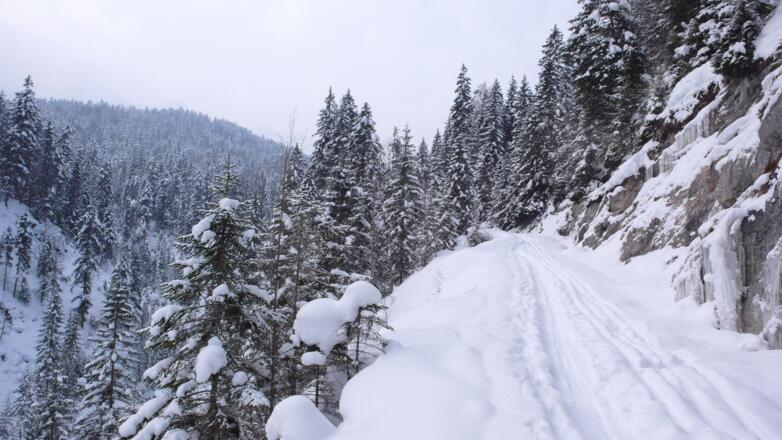 Am Ende des Wegs durchs enge Tal des Elmauer Baches