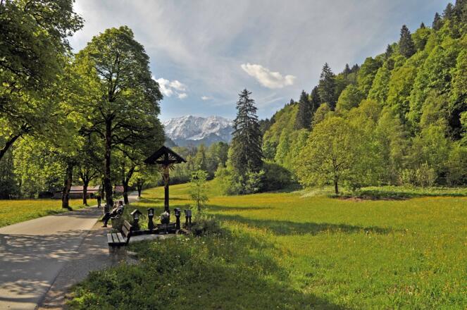 Dem Forstweg zur Klammeingangshütte folgen