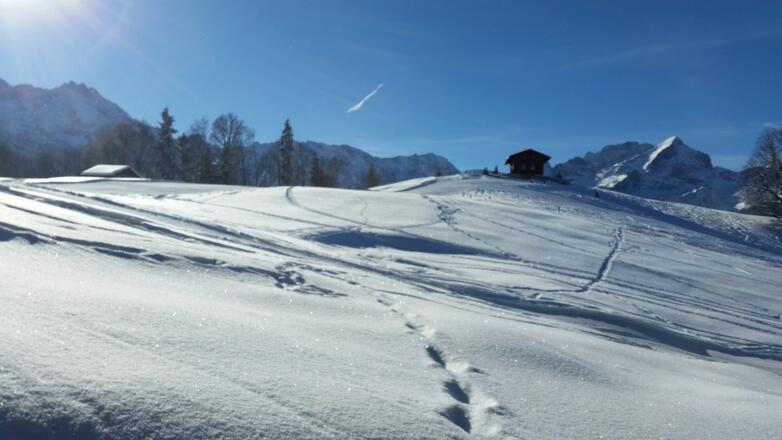 Pulverschnee am Eckbauer