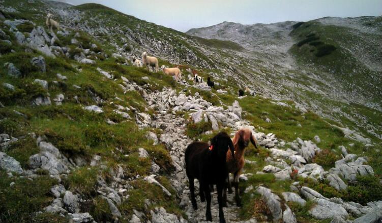 Aufstieg durch das Bergleintal (06.08.2012)