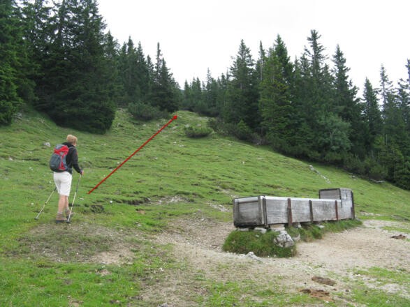 Am Brunnentrog zieht unser Weg wieder nach oben!