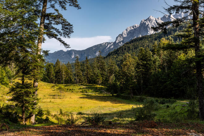 Lichtung mit Blick Zugspitzmassiv