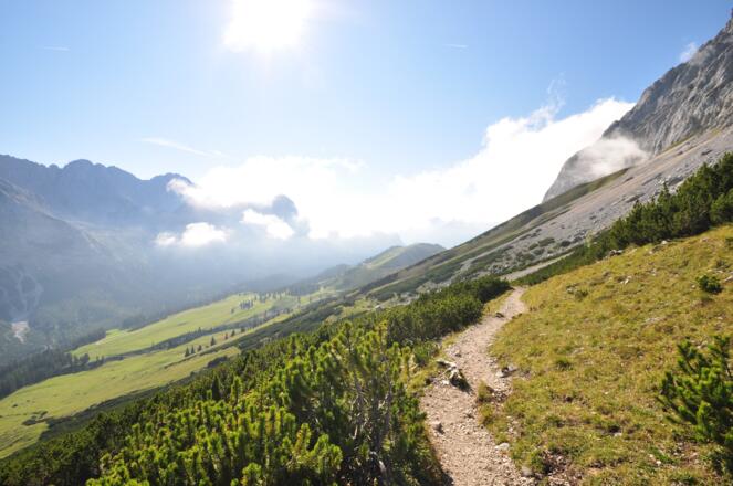 Immer der Sonne entgegen - da lacht das Herz