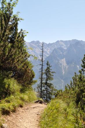 Steiler Abstieg von der Stepbergalm