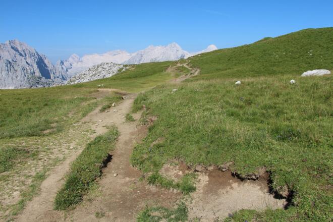 Frauenalpl, grüne Oase im Wettersteinkalk