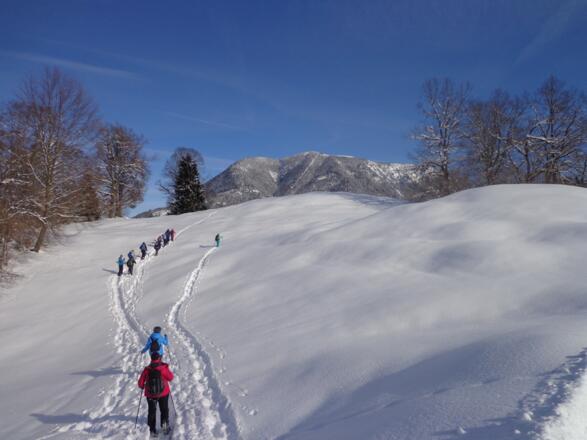 Schneeschuhwandern rund um die Kochelbergalm