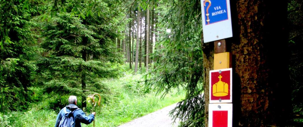 Pilger auf der VIA ROMEA im Harz