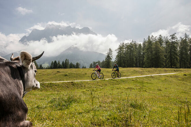 Mountainbiketour in der Zugspitz Arena Bayern-Tirol
