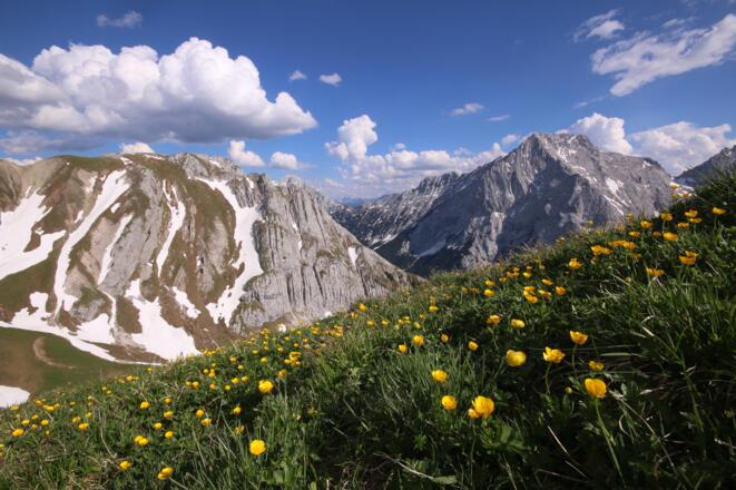 Frühsommer an der Wetterstein Südseite