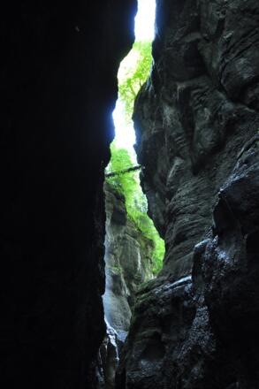 Ein Blick nach oben lohnt sich immer