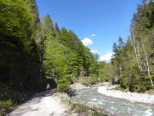 Mountainbiketour - Planseerunde, Abfahrt durch das Neidernachtal
