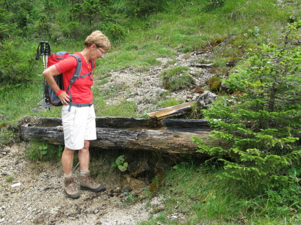 Ein alter Brunnentrog wird von einer erfrischenden Quelle gespeist!