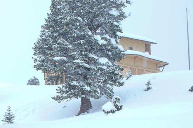 Das Jagdschloss im winterlichen Nebel
