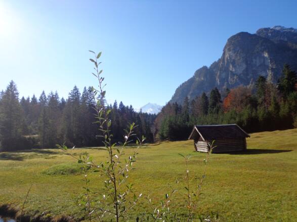 Blick auf den Königstand