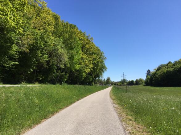 Fercha Richtung Neufahrn