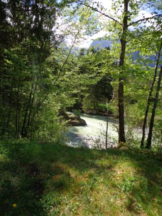 Natur pur - wilde Loisach