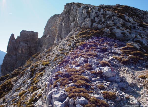 Am Söllerpass