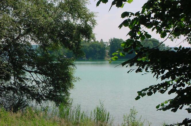 Die Roseninsel wird mit einem Elektroboot angefahren und ist einen Besuch wert.