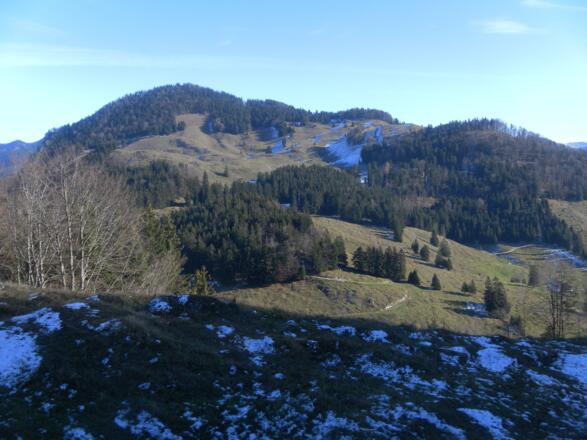 Pasterkopf oder Pastaukopf