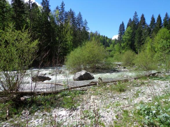 Loisach Richtung Griesen