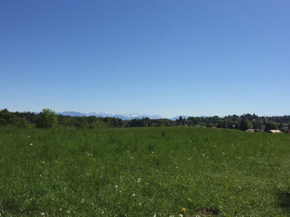 Bergblick zurück nach Hohenschäftlarn