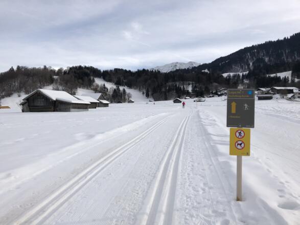 Blick auf die Kochelbergwiesen