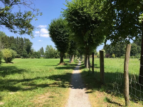 Nach Unterzeismering Pfad Richtung Tutzing