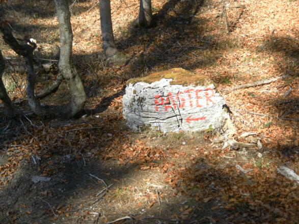 Gipfelrückenabzweig