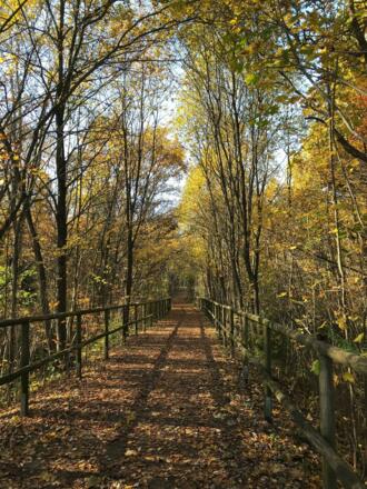 Eingang Forstenrieder Park