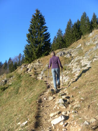 am Weg zur Kranzhornalm