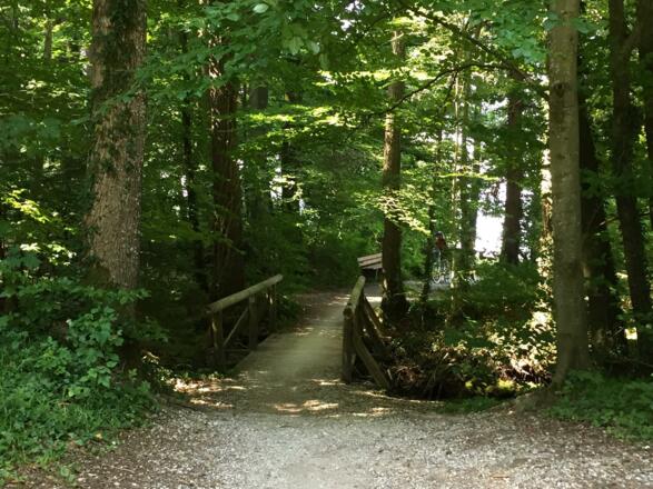 Nach dem Gasthof Buchscharner kommt der Feldweg