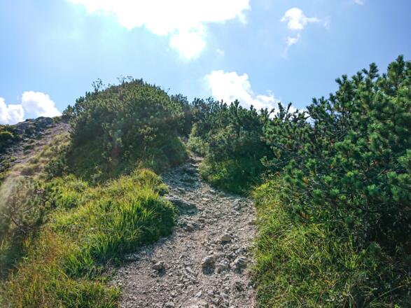 Leichter Aufstieg zum Jägerkamp