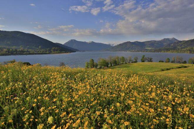 Der Start zur Holzeralm in Kaltenbrunn